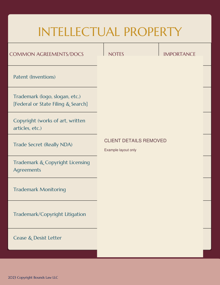 Anonymized Plan of Action preview: Intellectual property checklist